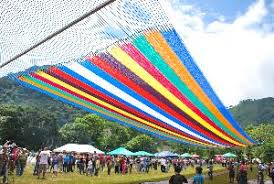 Hammock News - Largest Hammock