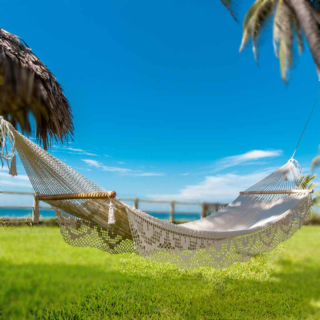 Shop for Outdoor Hammock 